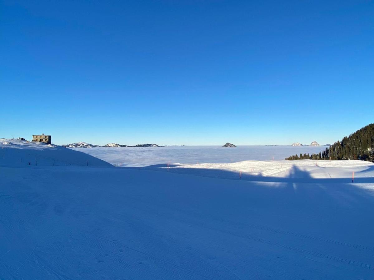 Solohike Mountainview Daire Seelisberg Dış mekan fotoğraf